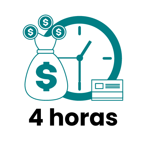 Bolsa de 4 h